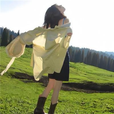 风飞鲨
